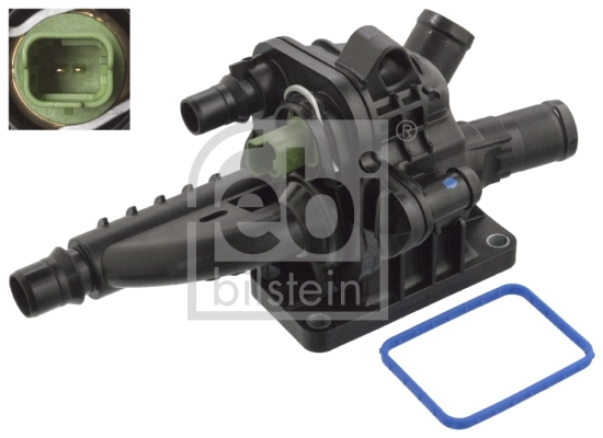 Thermostat, coolant